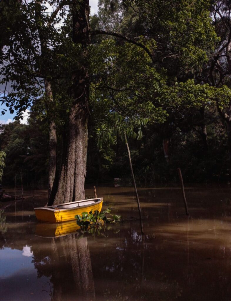 A serene yellow boat nestled among towering trees in the lush forests of Tigre, Argentina.