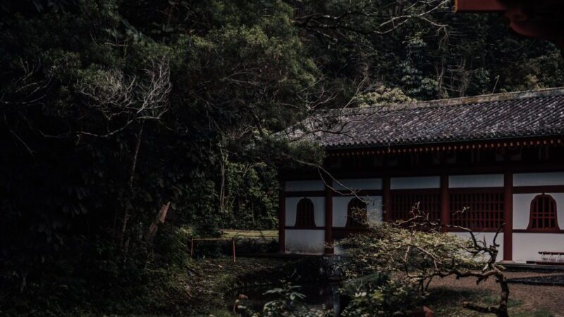 Explore the tranquil Byodo-In Temple surrounded by lush greenery in Honolulu, Hawaii.